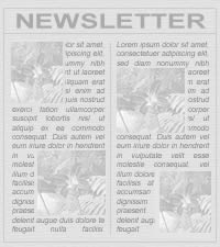 Newsletter Image